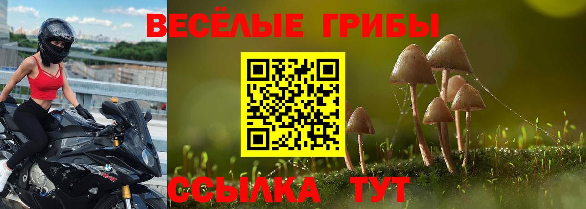 Благодарный  Галлюциногенные грибы Psilocybe  Вход с VPN 
